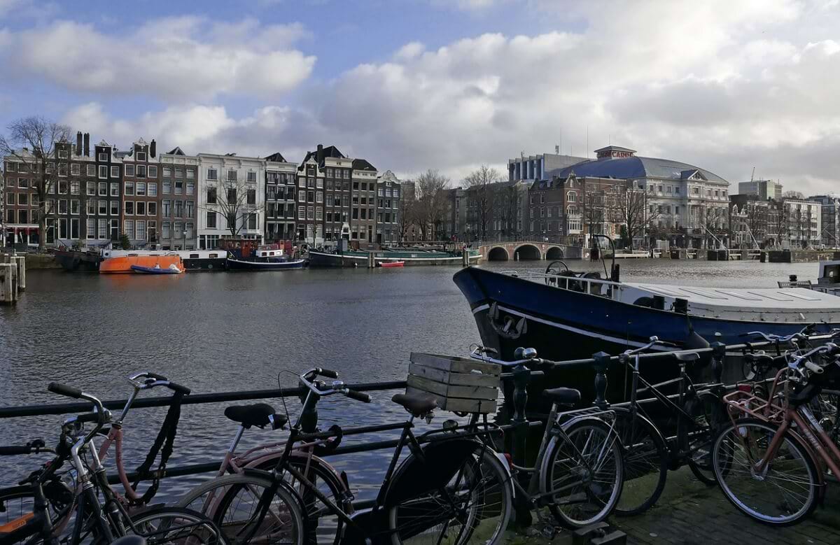 przewozy do holandii