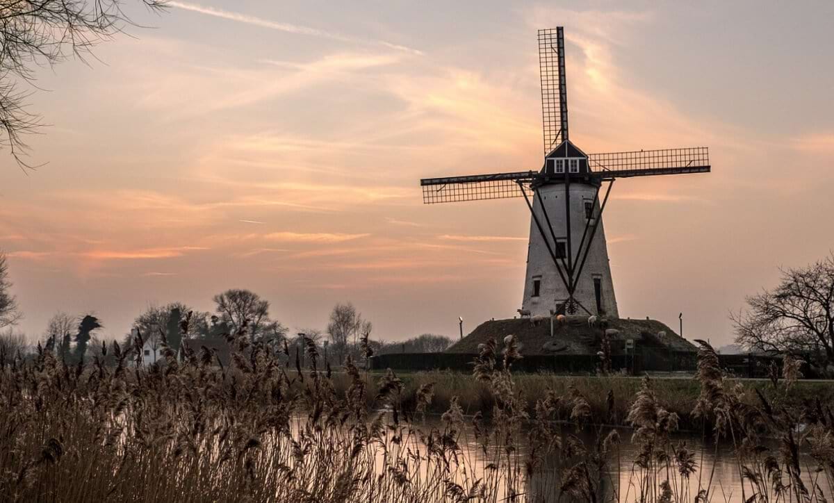 przewozy do holandii